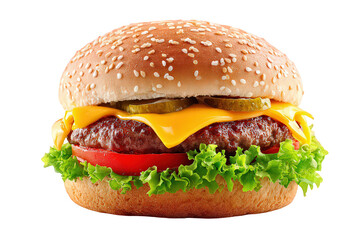 Delicious Cheese Burger