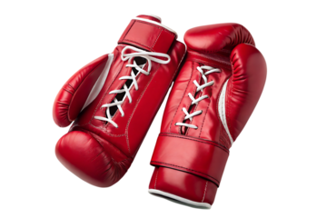 Boxing gloves protect your hands