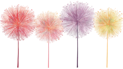 Colorful Abstract Floral Designs on Transparent Background