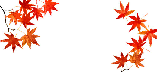 水彩手描き風の紅葉 もみじ、秋の背景、バナー用シンプルフレーム