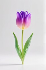 3d artwork of a Gradient of tulips with 3D glass effect, modern digital art, white base