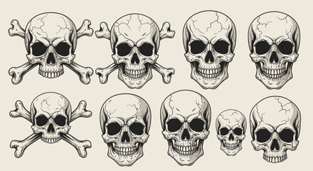 A collection of detailed vintage-style skull and crossbones illustrations, featuring various human skull designs with cracks and shading, some paired with crossed bones, on a light background.