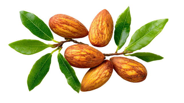 Almond nuts isolated on a wooden background. Almonds are a healthful food. Locally in Bangladesh, it is called Kath Badam.