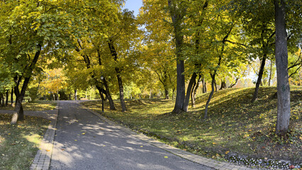 pathway in city park among multicolored trees in the early autumn. panoramic view.