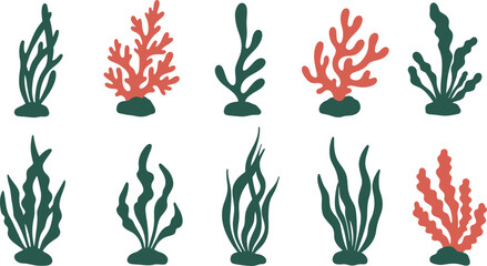 Variety of stylized coral and seaweed illustrations on transparent background