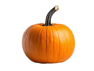 Obraz premium A vibrant orange pumpkin with a dark green stem isolated on a stark black background in studio lighting