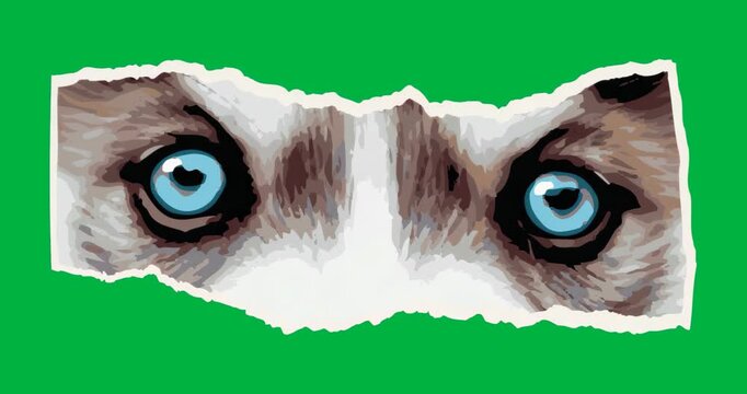 Jagged paper cutout revealing wolf-like eyes, neon glow rising to reveal on transparent background