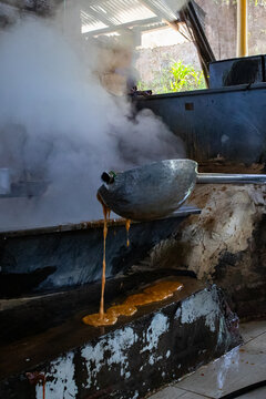 panela processing at a sugar mill (trapiche) in Colombia
