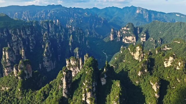 Majestic Zhangjiajie national forest park: towering sandstone pillars with lush green forest natural landscape, Wulingyuan Scenic Area, Hunan Province, China.