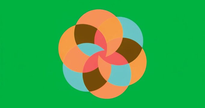 Shape spinning clockwise first frame, petals overlapping revealing new colors on transparent canvas