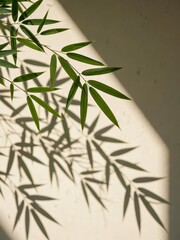 Captivating bamboo shadows dance on wall indoor space photography natural light close-up tranquility