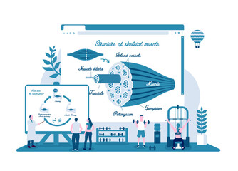 Vector illustrations with a fitness theme
