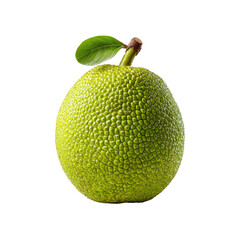 Round, green fruit with bumpy texture and small leaves