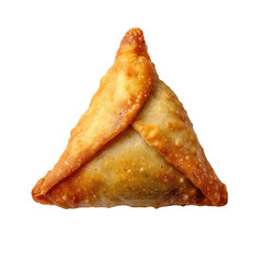 Golden fried triangular pastry