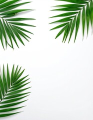 Three vibrant green palm fronds arranged on a clean white background, creating a refreshing, tropical, and minimalist aesthetic