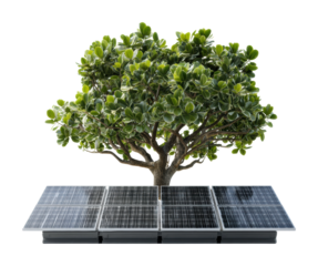 Solar energy integration with trees in urban environments innovation isolated on transparent background