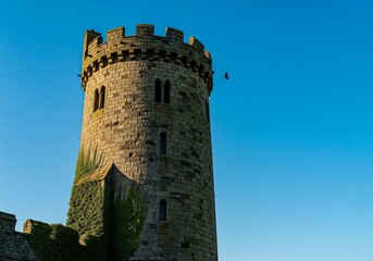 Ancient Stone Castle Tower with Ivy Against a Clear Blue Sky.