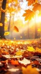 Vibrant autumn scene with maple leaves falling in a forest, illuminated by golden sunlight through the trees