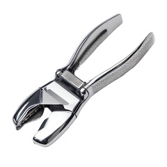 Obraz premium Polished metal nutcracker with handles