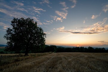 Serene sunset over rural field with lone tree.