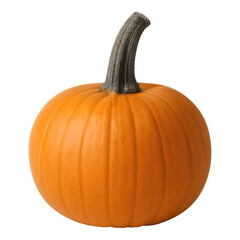 Real photo of pumpkin stem top with transparent background