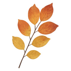 Naklejka premium Real photo of autumn branch with transparent background