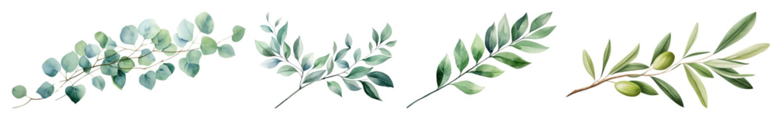 Naklejka premium PNG Elegant watercolor olive branches, element set on transparent background