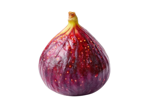 Ripe purple fig with yellow stem on black background fruit