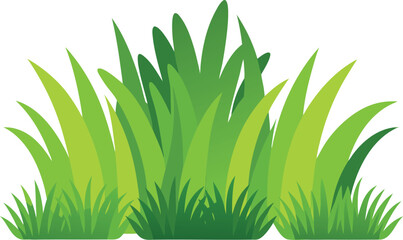Vibrant green grass bushes vector illustration for nature and garden designs