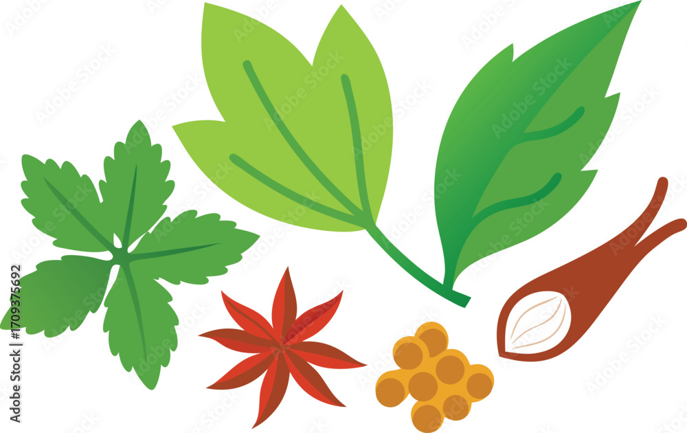Poster realistic herb and spice vector bundle for culinary and design projects