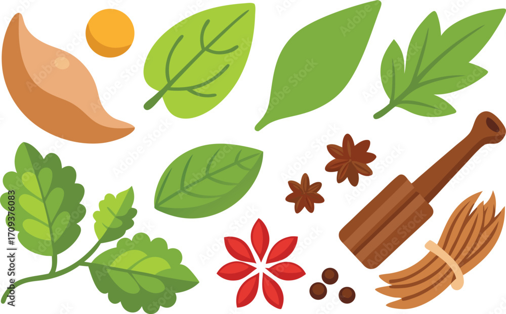 Poster realistic herb and spice vector bundle collection for culinary and design projects