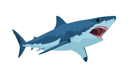 Fototapeta premium A powerful and predatory great white shark in its natural ocean habitat hunting for prey with its jaws open wide.