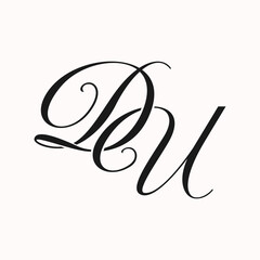 Fototapeta premium DU fashion luxury initial logo vector