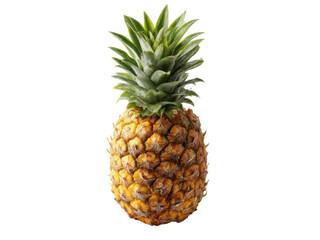 Fototapeta premium Tropical fruit with spiky green crown and textured golden body pineapple food