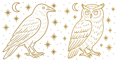 Fototapeta premium PNG Mystical gold bird illustrations night, element set on transparent background