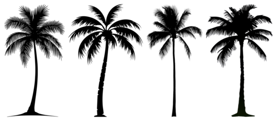 PNG Silhouettes of tropical palm trees, element set on transparent background
