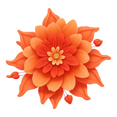 Vibrant orange dahlia flower with small buds on white background coral