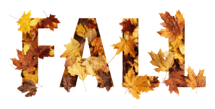 Autumn leaves falling nature seasonal change environment isolated on transparent background