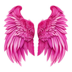 Vibrant Pink Angel Wings Isolated on White Background pink wings feather wings