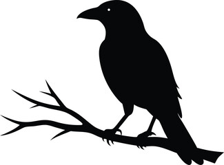 Fototapeta premium Crow on Branch Black Silhouette Vector. Raven or Crow Silhouette Perched on Tree Branch Vector Illustration