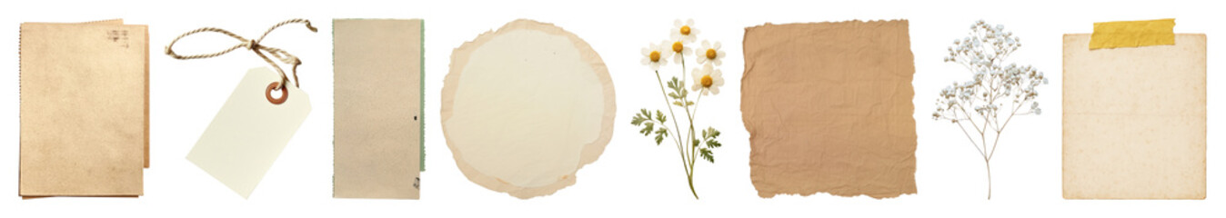 PNG Vintage paper floral elements collection, element set on transparent background