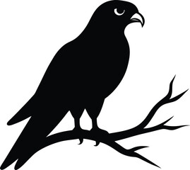 Falcon Silhouette on Branch. Minimalist Vector Graphic for Wildlife, Freedom, and Power Concept.
