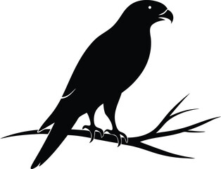 Falcon Perched on a Tree Branch Silhouette. Vector Illustration of a Bird of Prey, Hawk, Wildlife Nature Symbol.