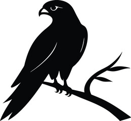 Falcon Perched on a Tree Branch Silhouette. Vector Illustration of a Bird of Prey, Hawk, Wildlife Nature Symbol.