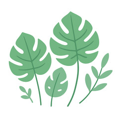Tropical Monstera Leaves Vector Illustration – Minimal Botanical Green Plant Design