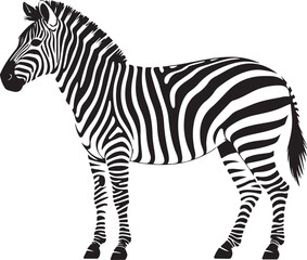 A striking black and white illustration of a zebra standing in profile against a clean white background