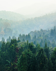 Misty jungle landscape with mountain ranges, perfect for sustainability, and nature concepts.