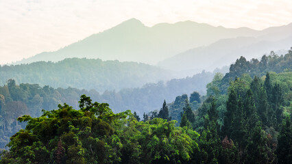 Lush forested hills with mountain backdrop, ideal for nature, travel, and sustainable adventure.