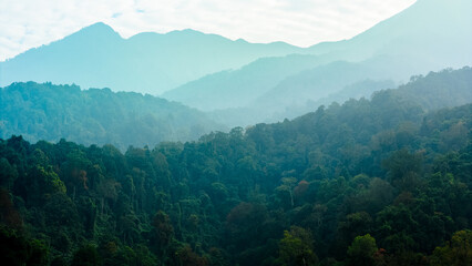 Scenic forest landscape with mountains in fog, perfect for eco tourism, nature preservation, and green living.