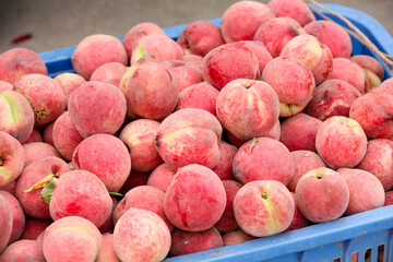Fresh Ripe Peaches in Market Crates - Local Fruit Display